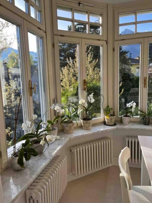 Laurelia Apartment Merano