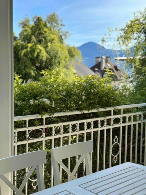 Laurelia Merano